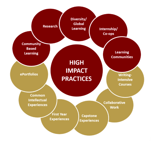 Blog Series: Exploring High Impact Practices (HIP) for a Deeper  Understanding – Kentucky Campus Compact